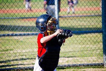 Little league umpire