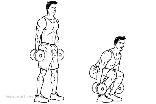 Dumbbell_Squat.png