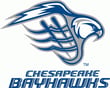chesapeake bayhawks lacrosse