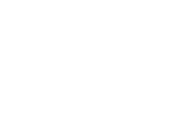 NY Logo White